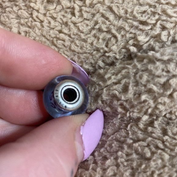 Pandora Charm ✨PRICE FIRM✨ - Picture 3 of 3